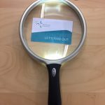 Large handheld lighted magnifier