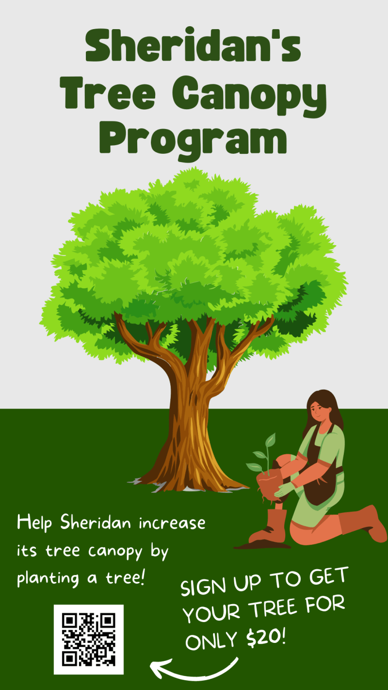 Sheridan city tree canopy program. Submit an online application to purchase a tree for $20.